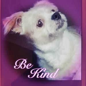 Meet your Posher, Bernadette